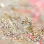 やっと見つけたぞぉー！！！