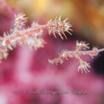 久々にベタ凪です！