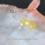 久しぶりに穏やかな海況♪