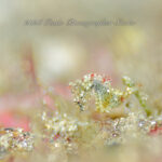 久々の14度！！！