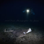 またまた砂地に出たーー！！