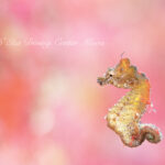 雪景色の井田！晴れて雪も溶ける！