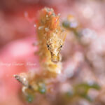 連日ベタ凪続き♪