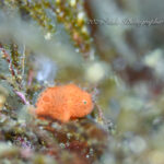 着々と春に向かって♪